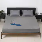 Mattress Toppers_vantro