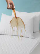 Pillow Case_vantro