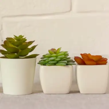 Garden Pots