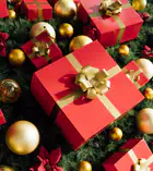 Festive & Party Supplies_vantro