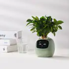 Garden Pots & Planters_vantro