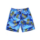 Men's Swimwear_vantro