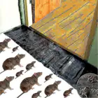 Pest Control_vantro